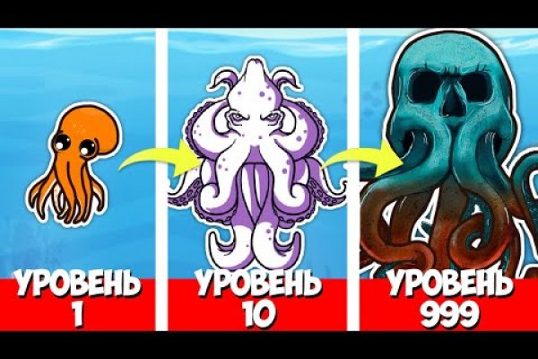 Kraken 12at