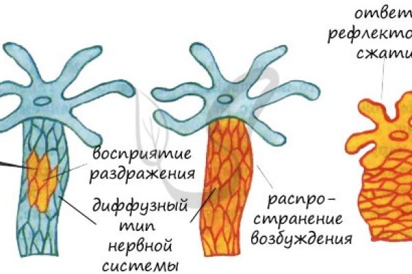 Kraken зеркало kraken link top