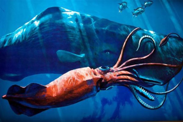 Kraken в россии