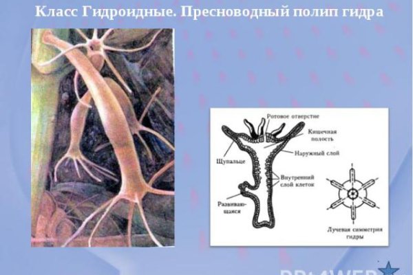 Kraken ссылка актуальная москва