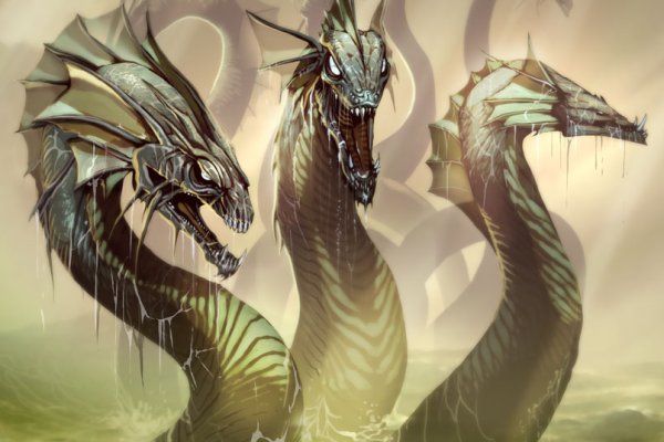 Kraken 12 att